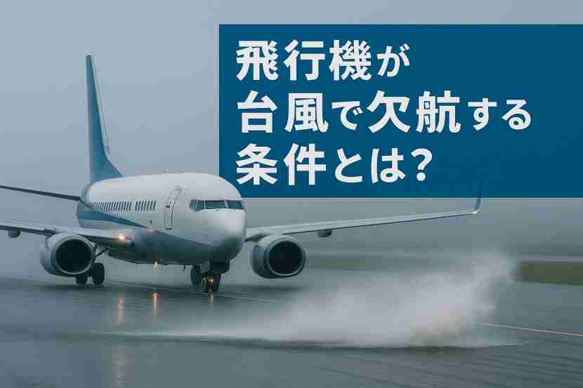 飛行機 台風 欠航 条件