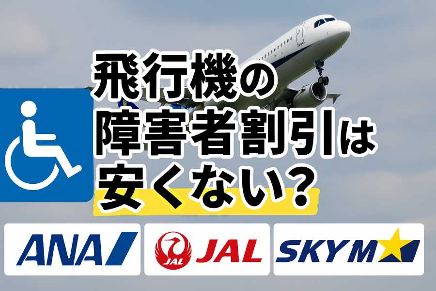 飛行機 障害者割引 安くない