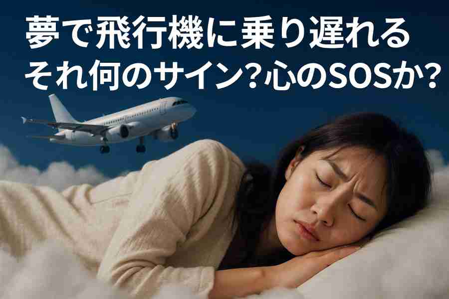 飛行機に乗り遅れる夢